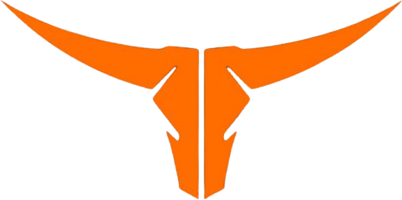 Longhorn Roofing